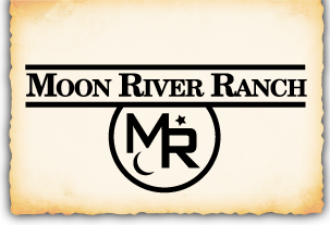 Moon River Logo